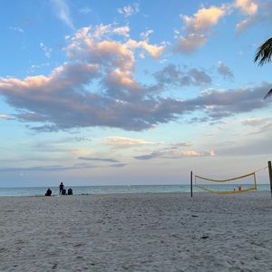 Meet your Posher, Ella